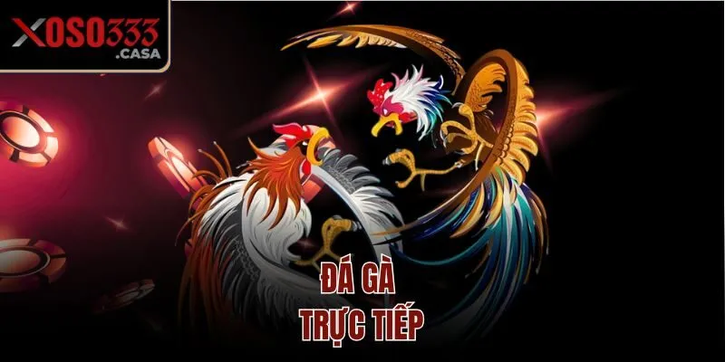 Đá gà trực tiếp