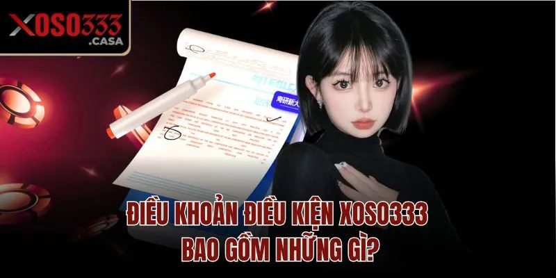 Điều khoản điều kiện Xoso333 bao gồm những gì?