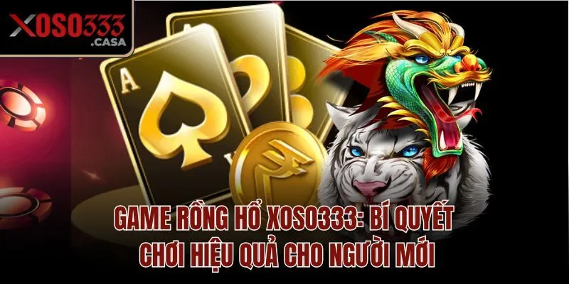Game Rồng Hổ Xoso333: Bí Quyết Chơi Hiệu Quả Cho Người Mới