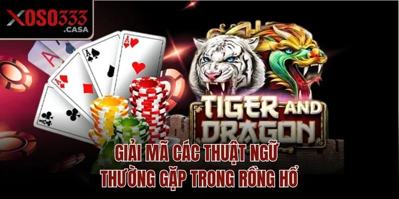 Giải mã các thuật ngữ thường gặp trong Rồng Hổ