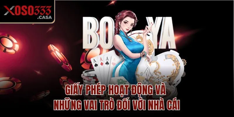 Giấy phép hoạt động và những vai trò đối với nhà cái