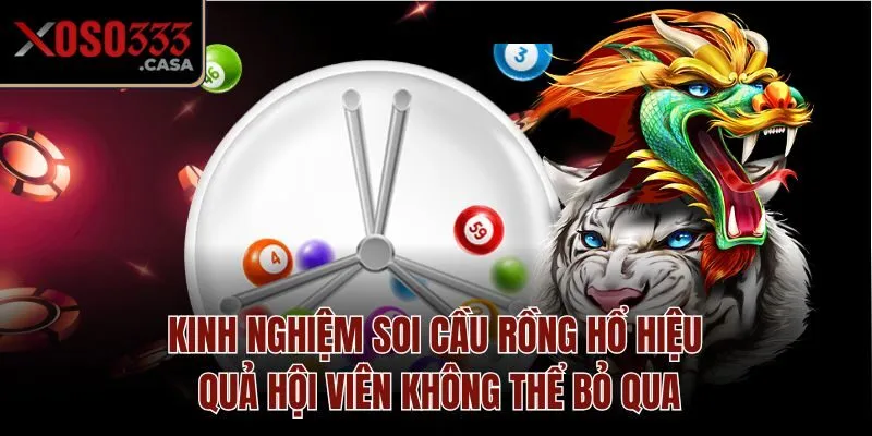 Kinh nghiệm soi cầu Rồng Hổ hiệu quả hội viên không thể bỏ qua